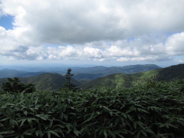 登山道